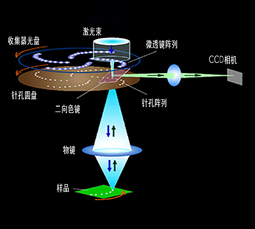 流体测速, 测量气体类型 : 微 PIV·LIF系统(图5)